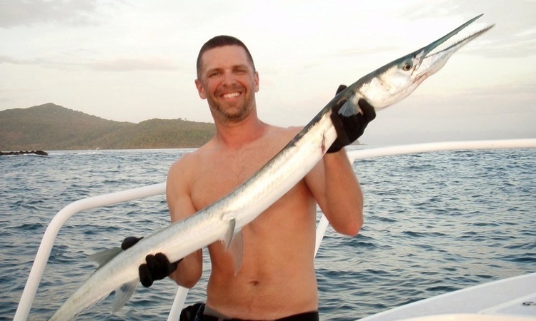 catching a large needlefish