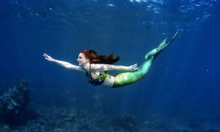 mermaid swimming