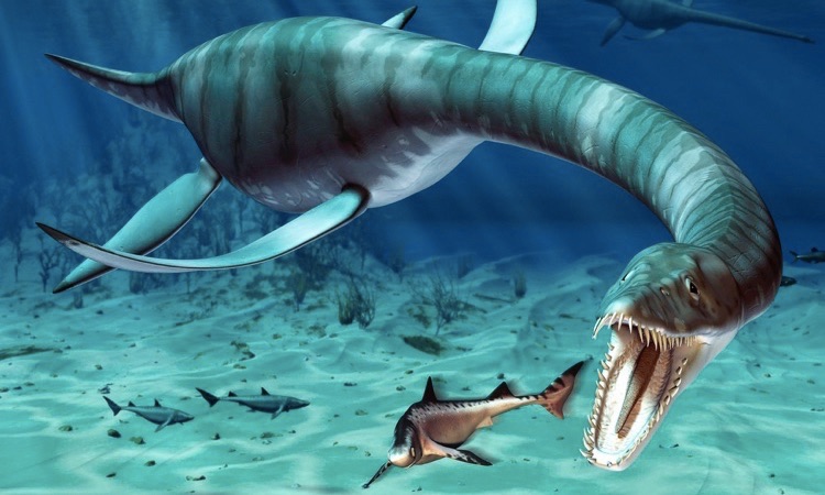 prehistoric sea creatures plesiosaur