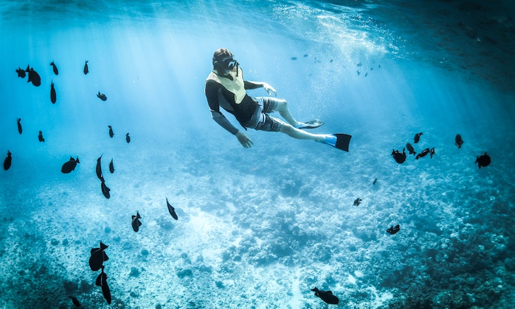 snorkeling in miami