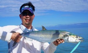 Sierra Fish: All you Need to Know
