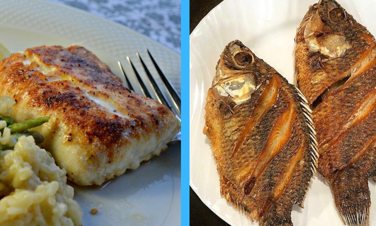 Haddock vs Tilapia Taste