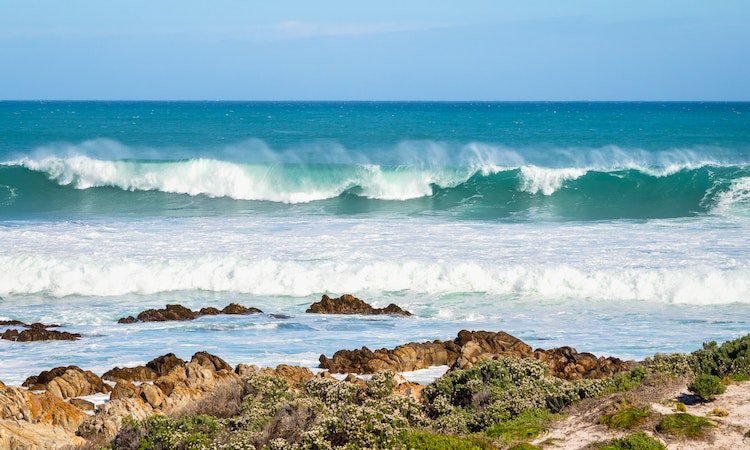 Is Salt Water Good for your Hair? | Surf's Up Magazine