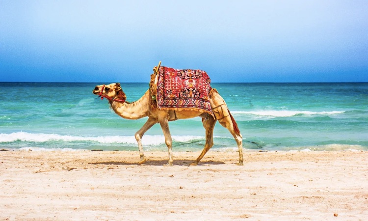 tunisia beaches