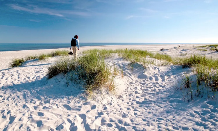 Discover the Top Denmark Beaches