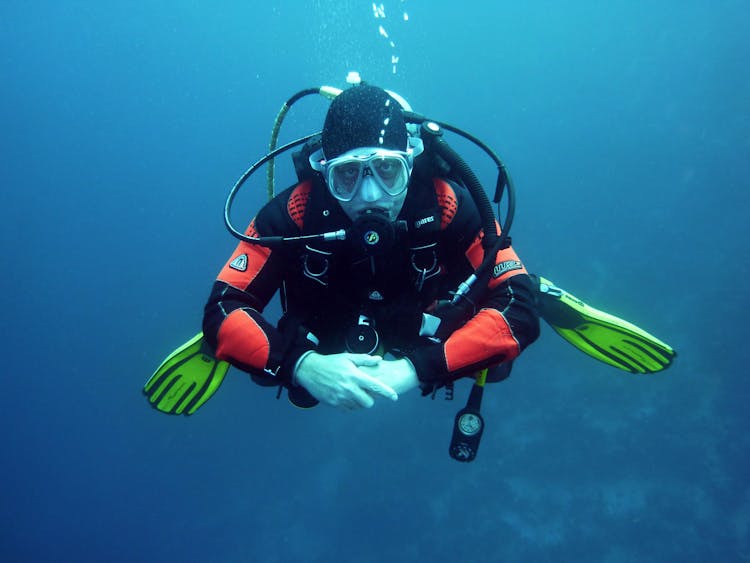 A Guide to Scuba Diving Adventures